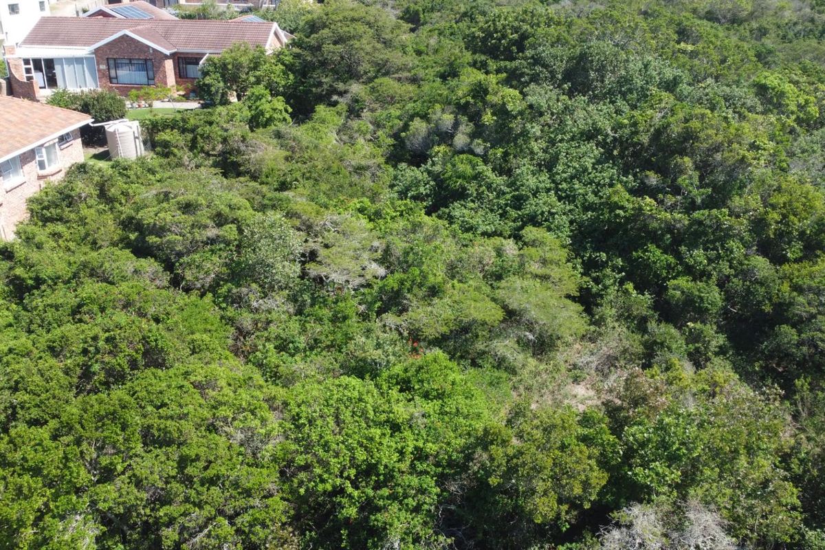 Vacant Land on the Peninsula in Kleinemonde - Photo 5