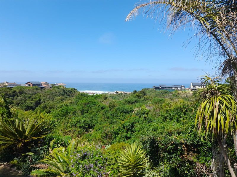 Coastal Beauty home with large flat. Enjoy Ocean and Greenbelt Views - Photo 2