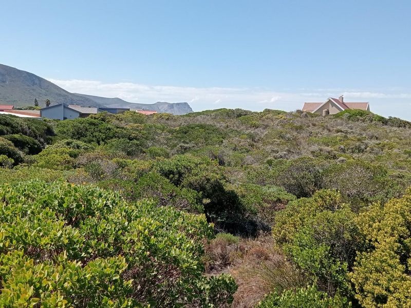 Coastal Opportunity in Kleinbaai’s Premier Estate - Photo 3