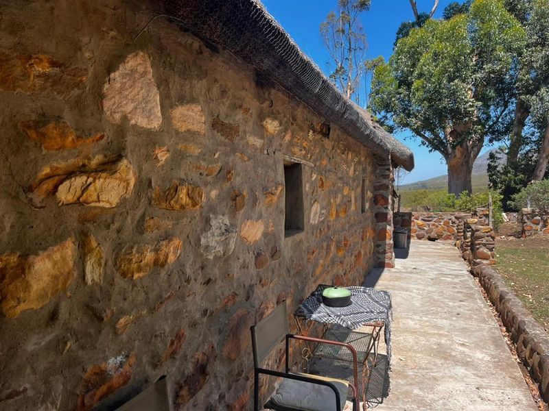 Farm For Sale Riversdal - Photo 10