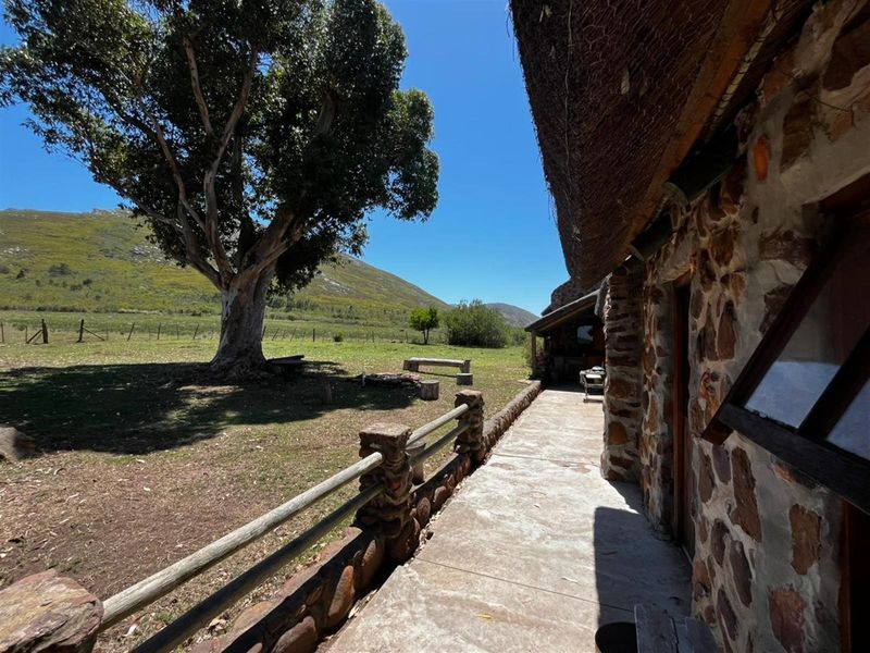 Farm For Sale Riversdal - Photo 8