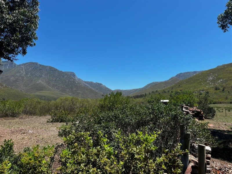 Farm For Sale Riversdal - Photo 9