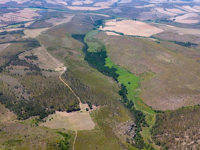 Farm For Sale Riversdal - Photo 7