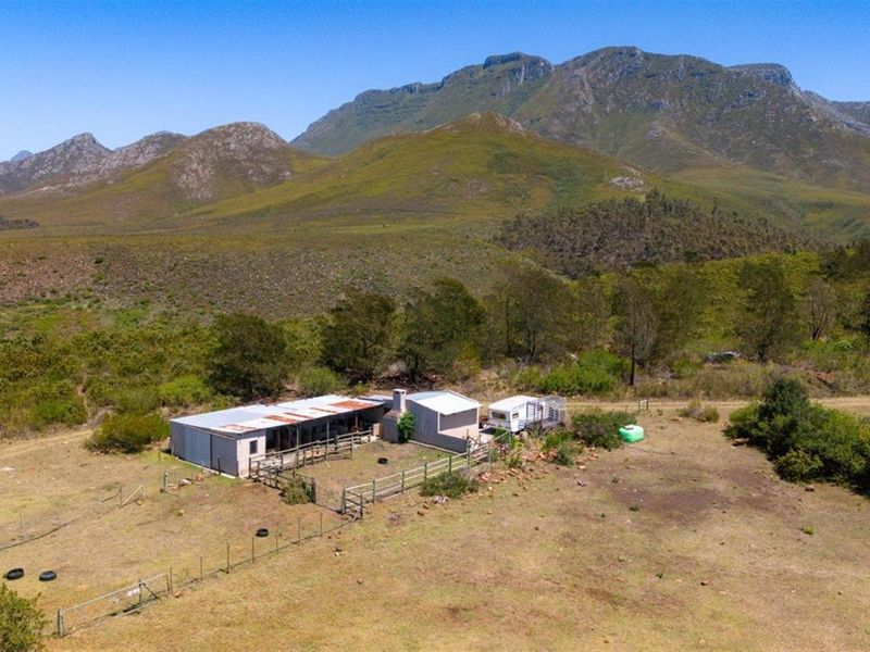 Farm For Sale Riversdal - Photo 6