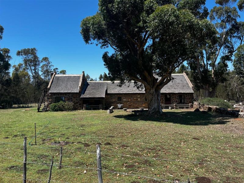 Farm For Sale Riversdal - Photo 4