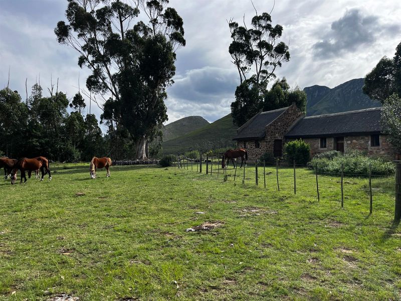 Farm For Sale Riversdal - Photo 2