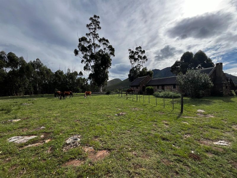 Farm For Sale Riversdal - Photo 4