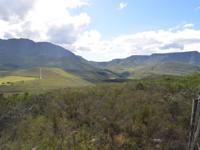 Farm For Sale Riversdal - Photo 3