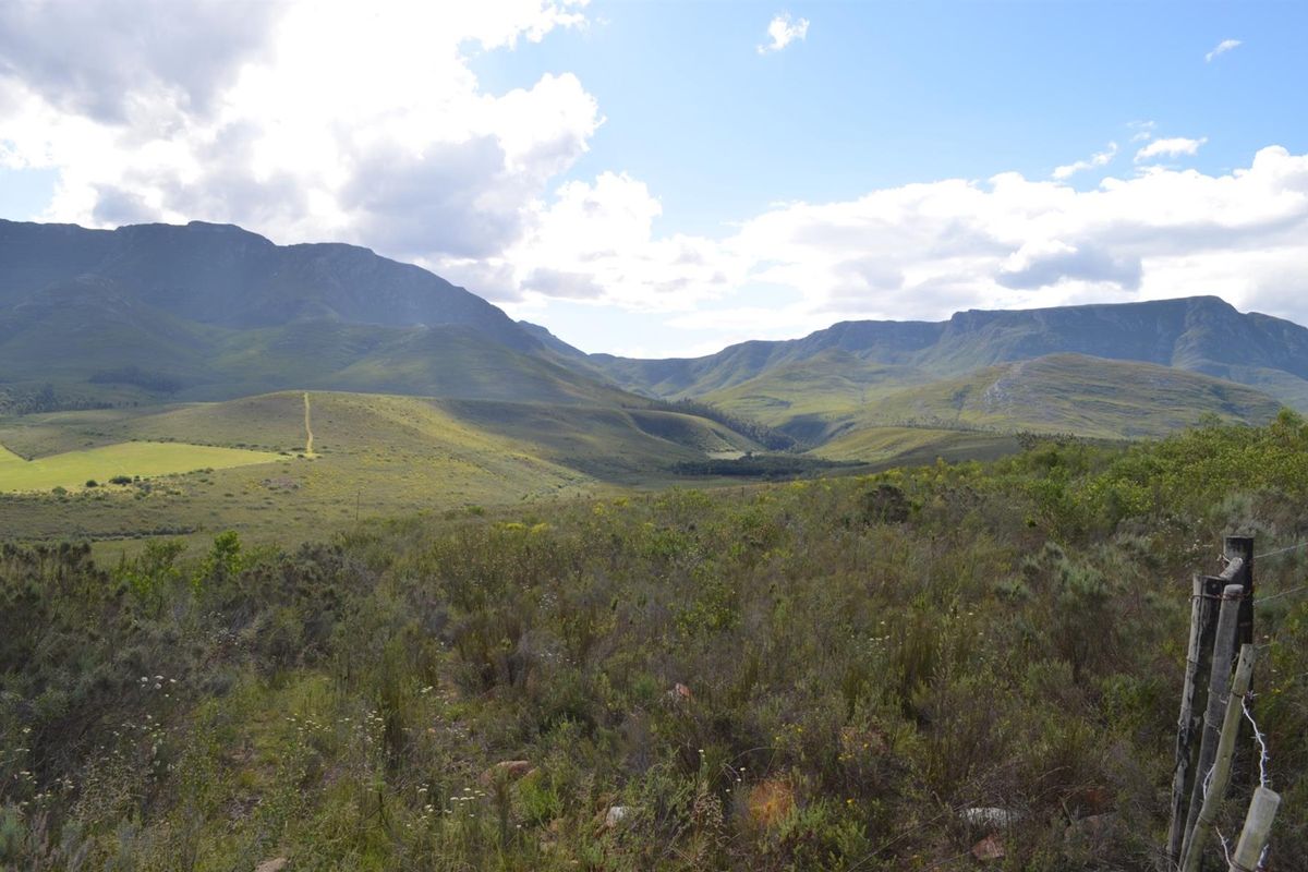 Farm For Sale Riversdal - Photo 3