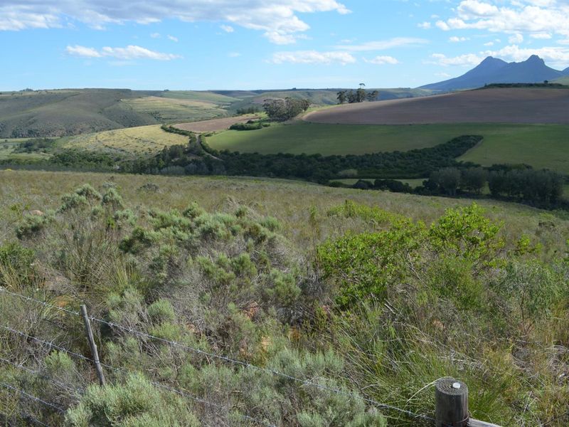 Farm For Sale Riversdal - Photo 4