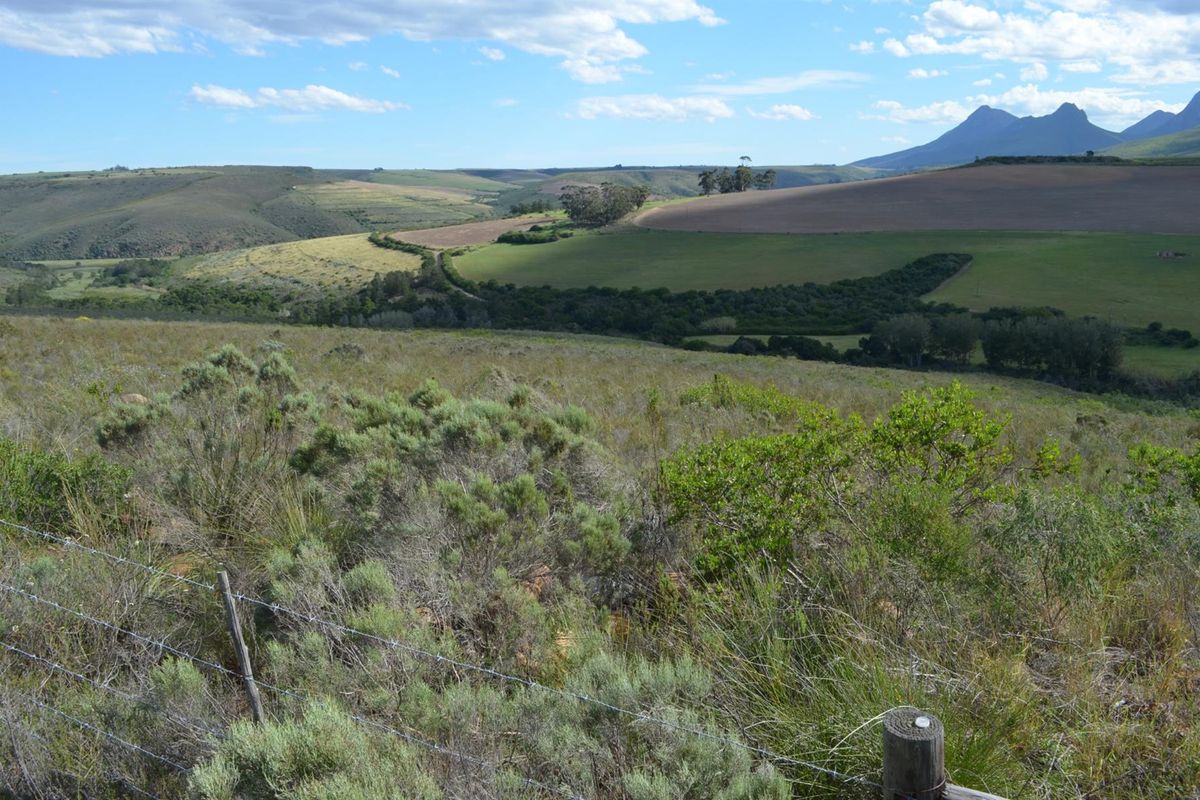 Farm For Sale Riversdal - Photo 4