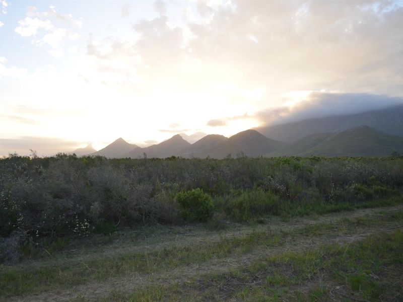 Farm For Sale Riversdal - Photo 9