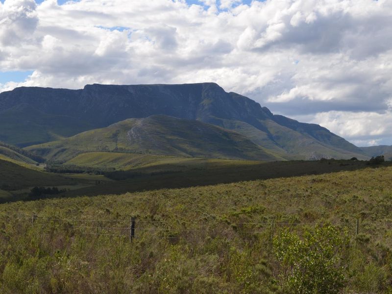 Farm For Sale Riversdal - Photo 2