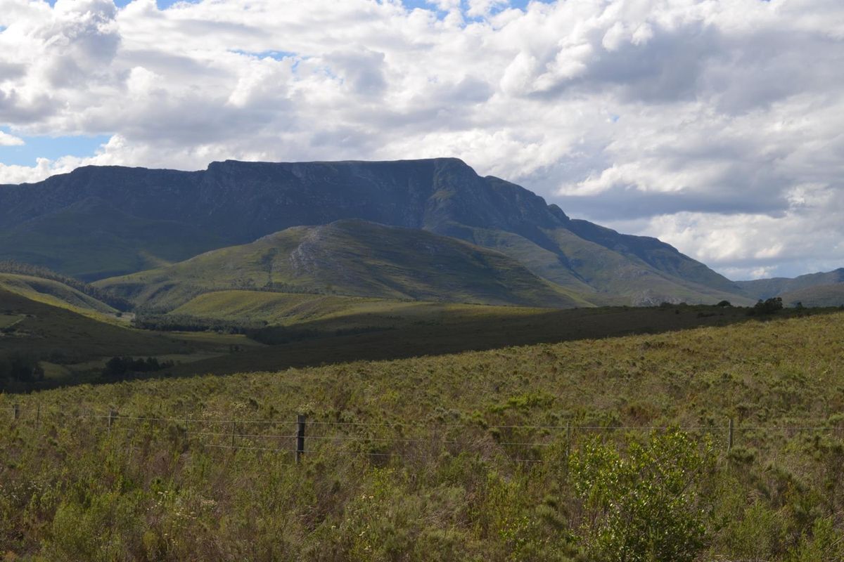 Farm For Sale Riversdal - Photo 2