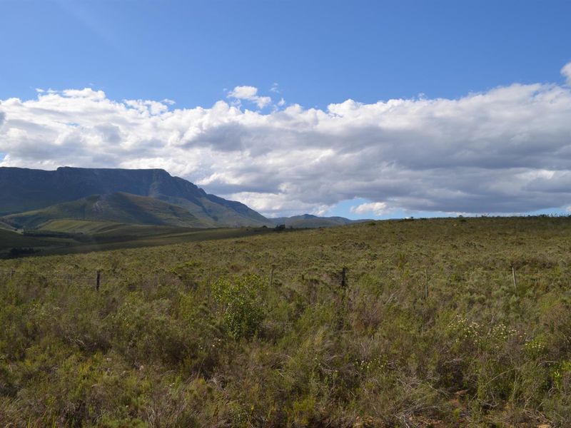 Farm For Sale Riversdal - Photo 5