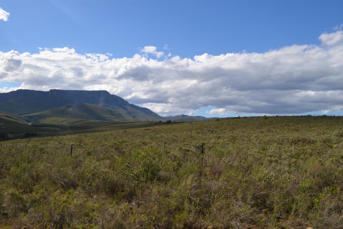Farm For Sale Riversdal - Photo 5