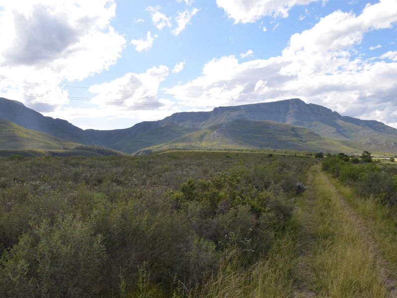 Farm For Sale Riversdal - Photo 8