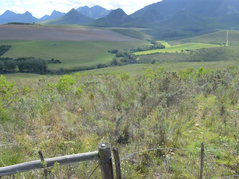 Farm For Sale Riversdal - Photo 7