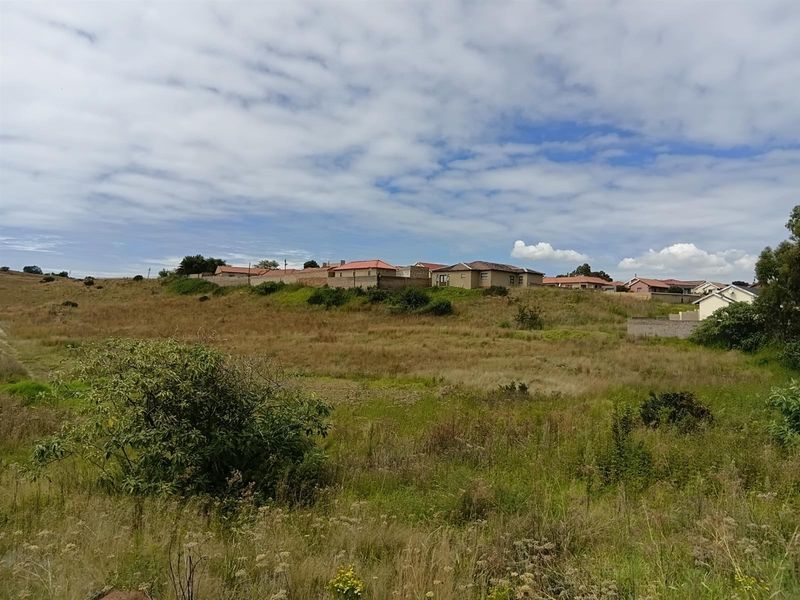 Zakariyya Park - Photo 8