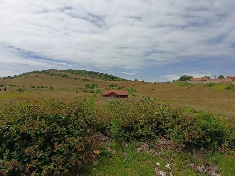 Zakariyya Park - Photo 6