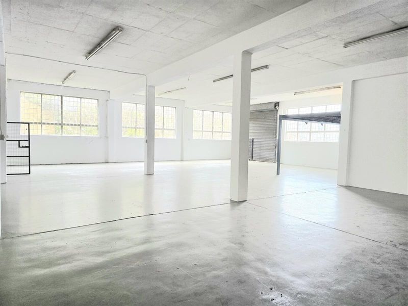 Spacious open-plan industrial unit featuring polished concrete flooring, ample natural light through steel-framed windows, and a functional roller shutter door for easy access.