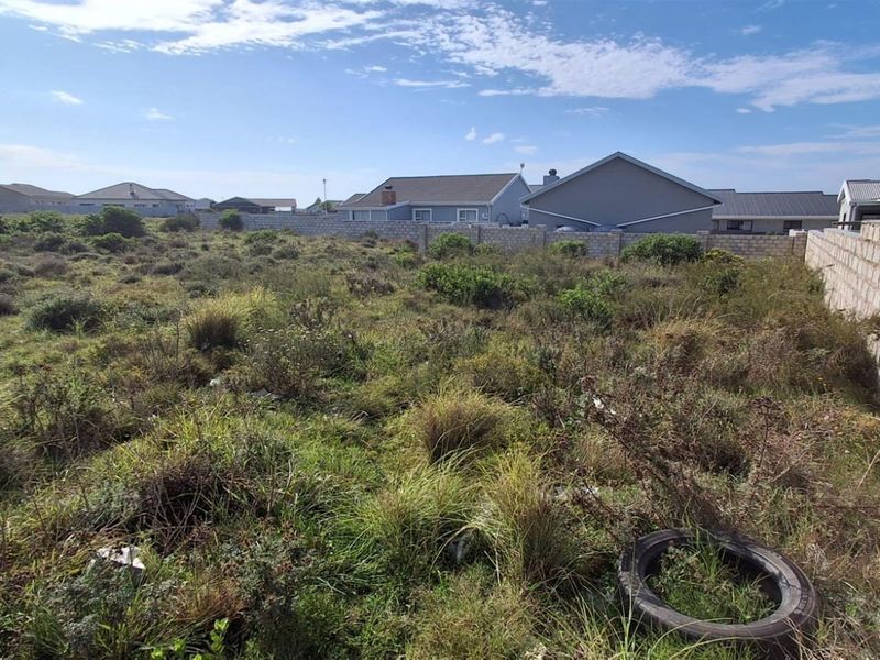 A vacant residential plot featuring natural vegetation and a perimeter boundary wall, offering a blank canvas for future development.