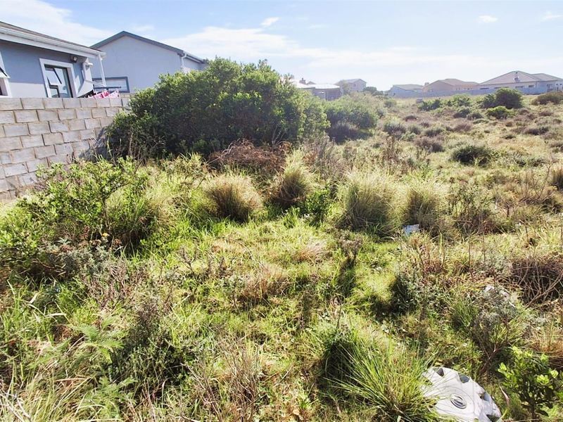 A vacant residential plot featuring natural vegetation and a boundary wall, offering potential for development in a established neighborhood.