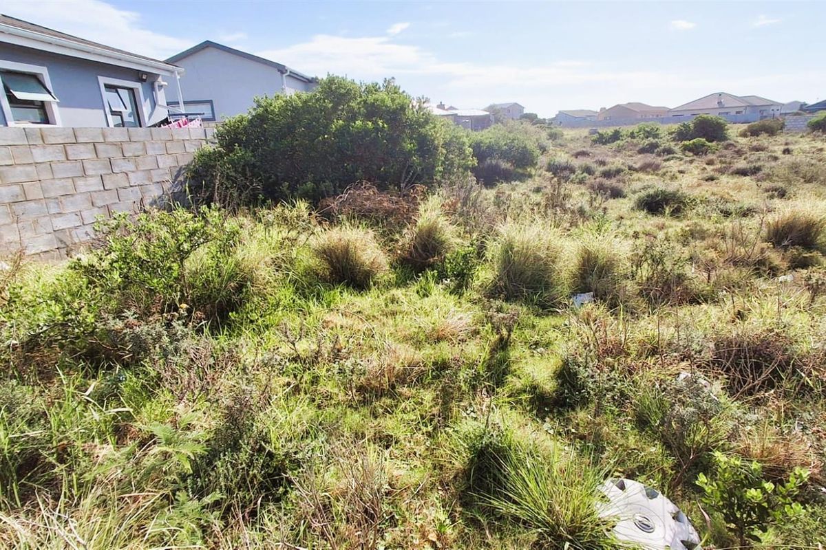 A vacant residential plot featuring natural vegetation and a boundary wall, offering potential for development in a established neighborhood.