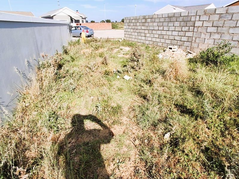 A view of the rear yard area featuring boundary walls and overgrown vegetation on the vacant residential plot.