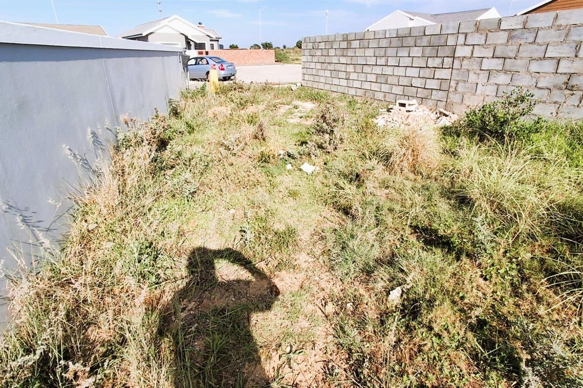 A view of the rear yard area featuring boundary walls and overgrown vegetation on the vacant residential plot.
