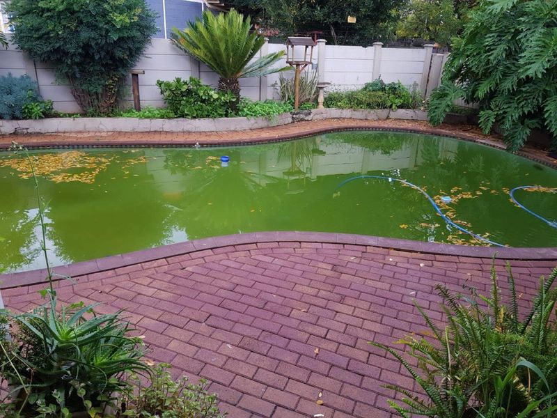 Spacious Family Home with Flatlet and Pool For Sale in Brakpan Central - Photo 9