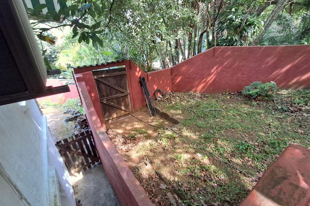 A small, enclosed rear garden area featuring painted masonry boundary walls, a wooden access gate, and mature surrounding trees.