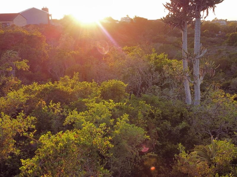 House For Sale in Wavecrest, Jeffreys Bay - Photo 3