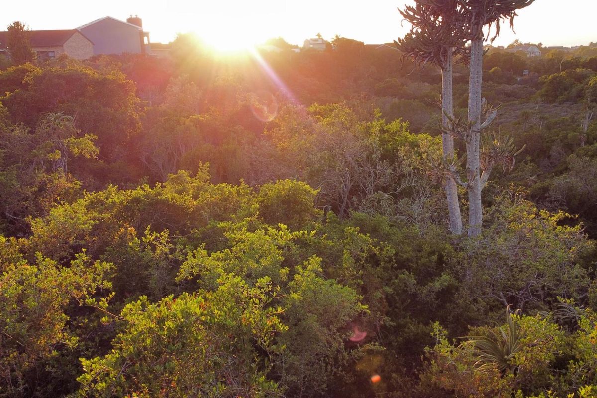 House For Sale in Wavecrest, Jeffreys Bay - Photo 3