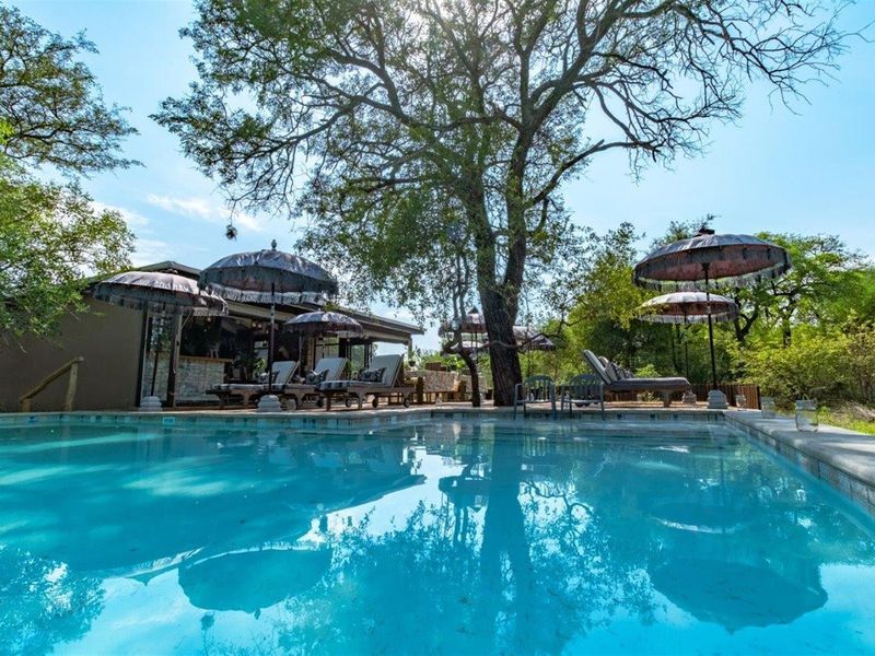 Luxury Bush Lodge For Sale  - Where The World Experiences Africa. - Photo 3