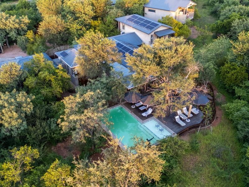 Luxury Bush Lodge For Sale  - Where The World Experiences Africa. - Photo 4