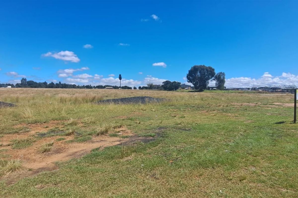 A wide-angle view of a vacant agricultural land plot featuring open grassy terrain and a clear horizon under a blue sky.