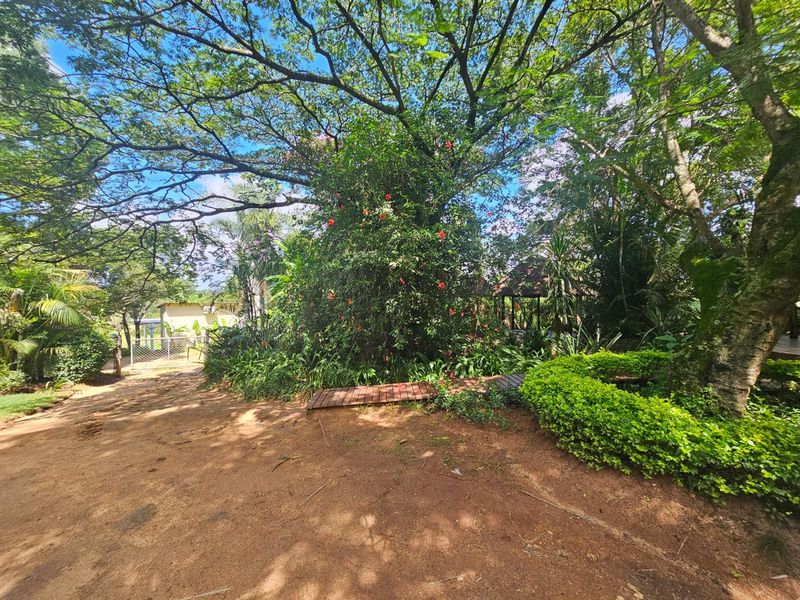 House To Rent in Drum Rock Nelspruit Mpumalanga - Photo 2