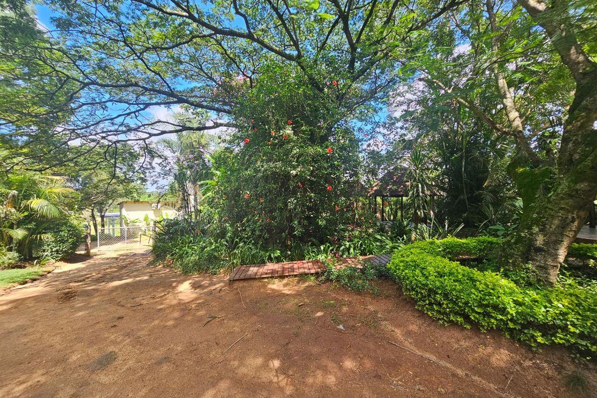 House To Rent in Drum Rock Nelspruit Mpumalanga - Photo 2