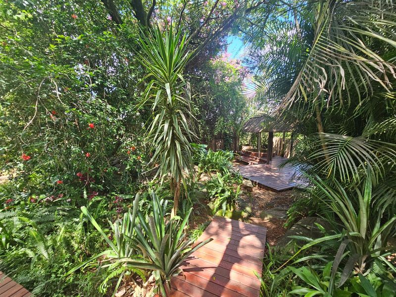 House To Rent in Drum Rock Nelspruit Mpumalanga - Photo 4