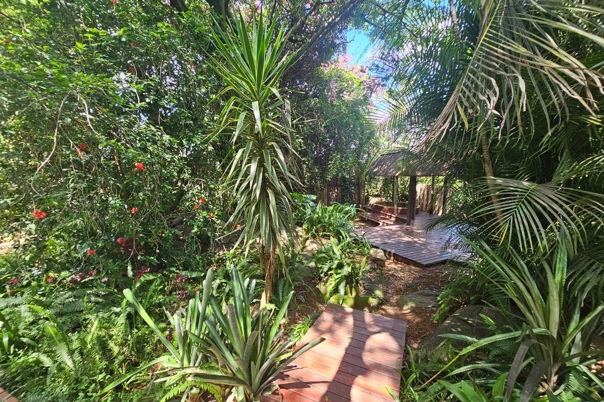 House To Rent in Drum Rock Nelspruit Mpumalanga - Photo 4