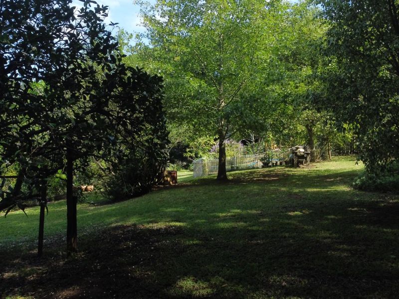 A Generous Home with Classic Charm - Photo 10