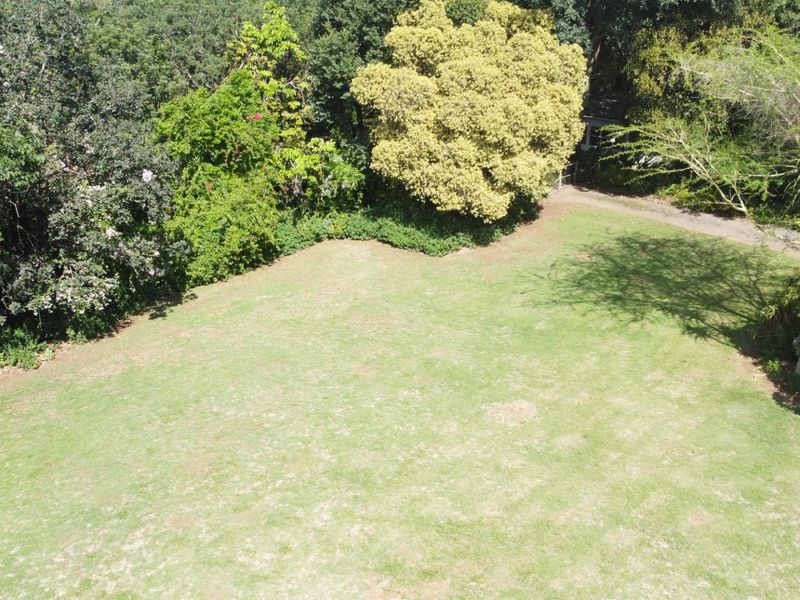 A Generous Home with Classic Charm - Photo 8