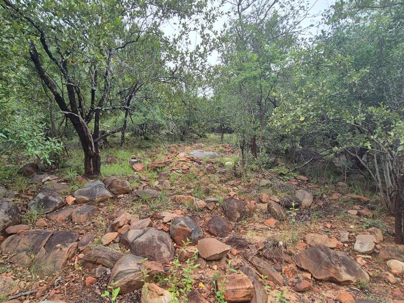 Stunning 1 Ha Plot For Sale in Canyon Game Reserve, Hoedspruit - Photo 10