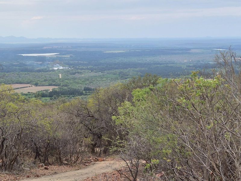 Stunning 1 Ha Plot For Sale in Canyon Game Reserve, Hoedspruit - Photo 9