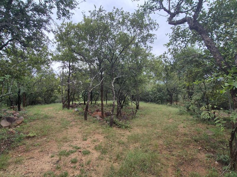 Stunning 1 Ha Plot For Sale in Canyon Game Reserve, Hoedspruit - Photo 8