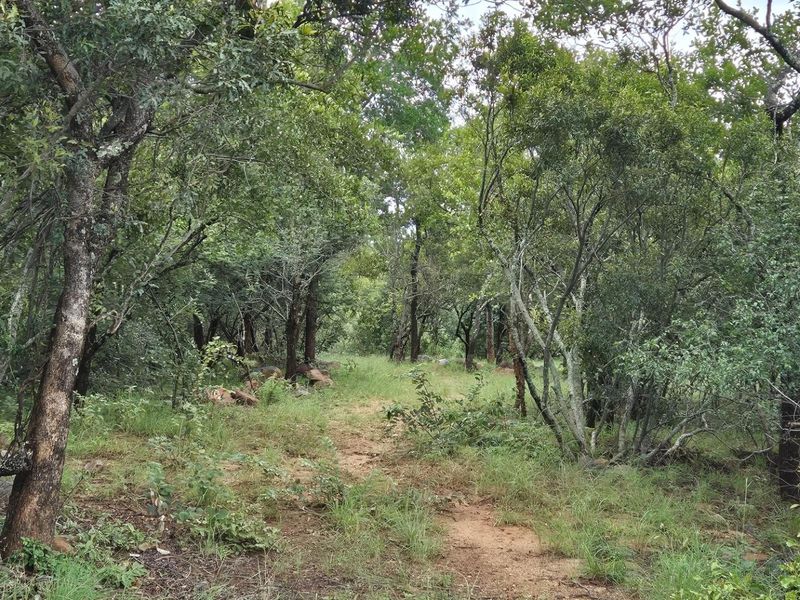 Stunning 1 Ha Plot For Sale in Canyon Game Reserve, Hoedspruit - Photo 6