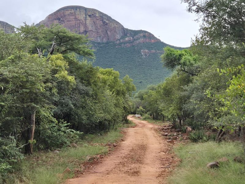 Stunning 1 Ha Plot For Sale in Canyon Game Reserve, Hoedspruit - Photo 1