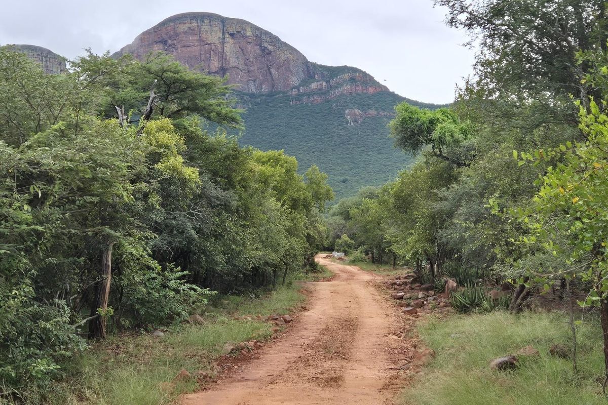 A scenic dirt access road winding through natural bushveld vegetation, leading towards a prominent mountain backdrop.