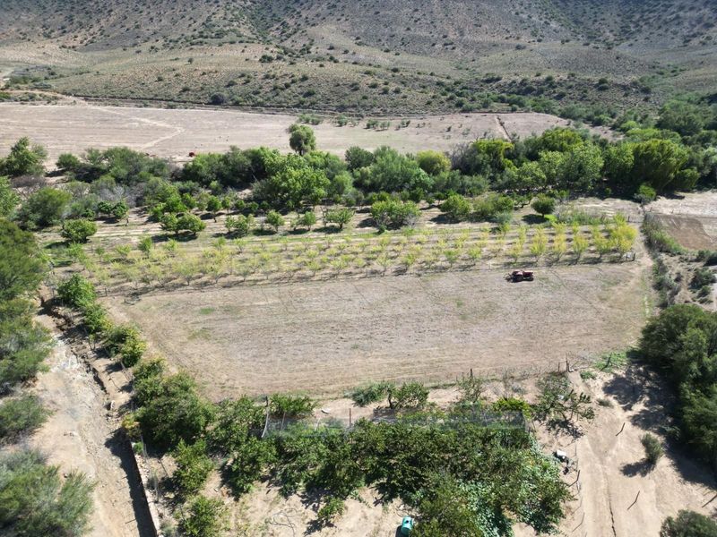 Water-Rich 380ha Karoo Farm - A Rare Opportunity in Prince Albert - Photo 9